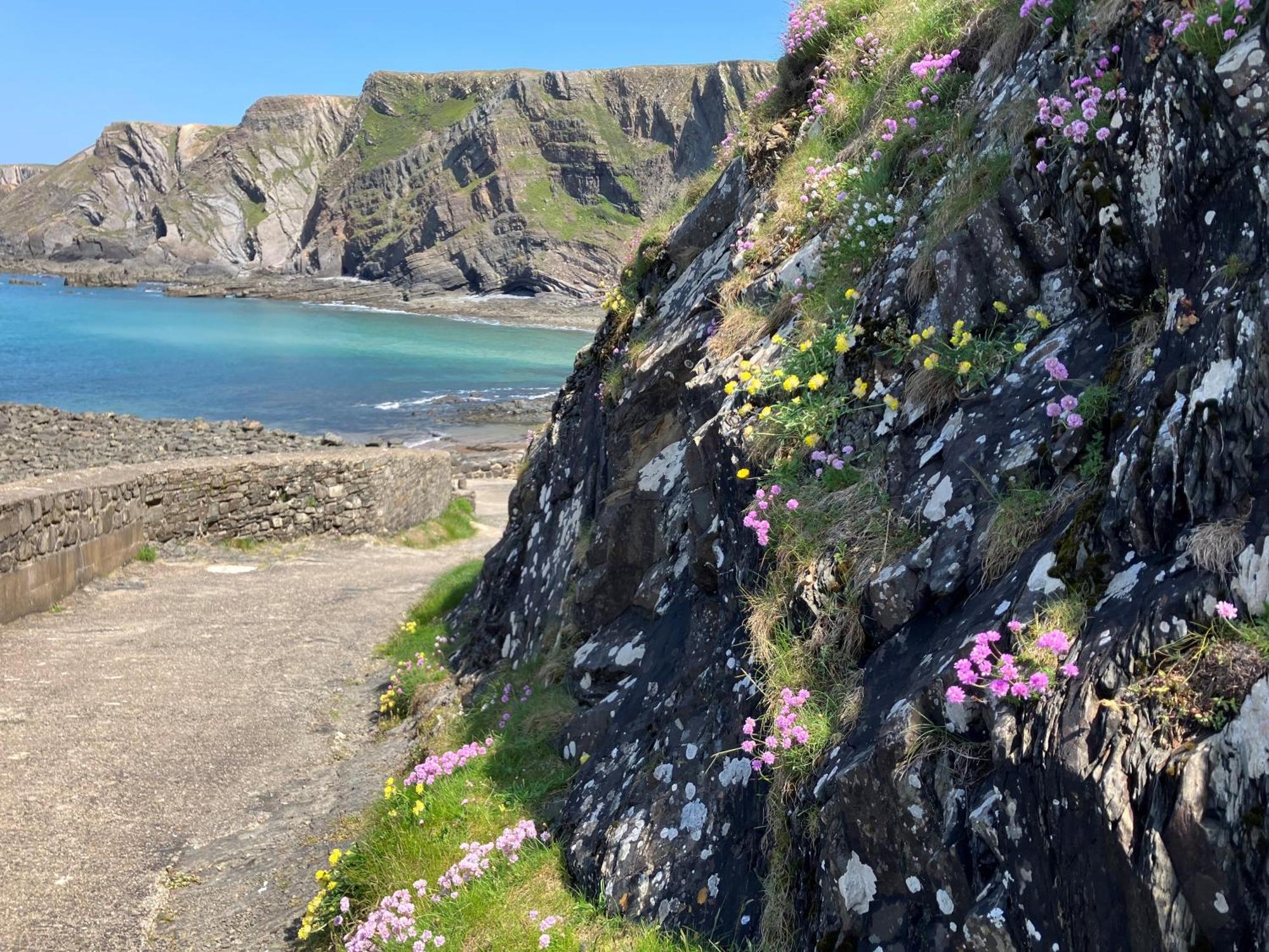 Hartland Quay Hotel Esterno foto