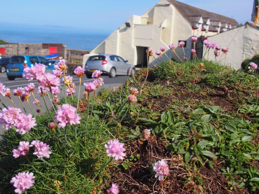 Hartland Quay Hotel Camera foto